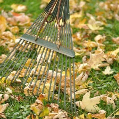 FALL CLEANUP